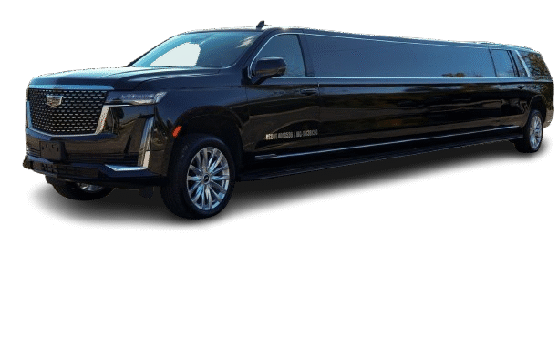 AR502975-min-removebg-preview